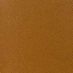 Kravet Design Brown Gillian 24 Indoor Upholstery Fabric
