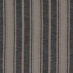 F Schumacher Zina Stripe Charcoal 71912 Caravanne Collection Indoor Upholstery Fabric