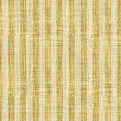 Kravet Basics Yellow 34080-416 Rustic Cottage Collection Multipurpose Fabric
