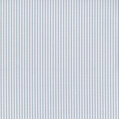 Perennials Jake Stripe Ice Blue 800-798 Paradise Found Collection by John Hutton Upholstery Fabric