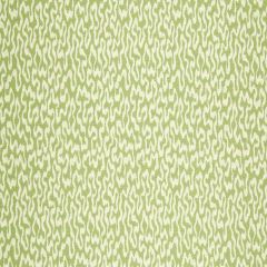 Robert Allen Spaced Out Spring Grass 241015 Botanical Color Collection Indoor Upholstery Fabric