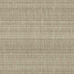 Duralee Mocha DW16057-155 The Tradewinds Indoor-Outdoor Woven Collection  Upholstery Fabric