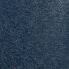 Kravet Design Blue Gillian 5 Indoor Upholstery Fabric