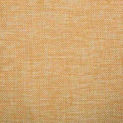 Kravet Contract 34926-1211 Indoor Upholstery Fabric