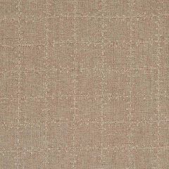 F Schumacher Elin Check Linen 80411 New Traditional III Collection Indoor Upholstery Fabric