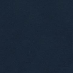 Lee Jofa Highland Indigo 2014141-50 Indoor Upholstery Fabric