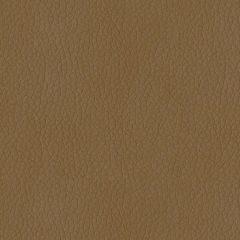 ABBEYSHEA Turner 608 Sandstone Indoor Upholstery Fabric