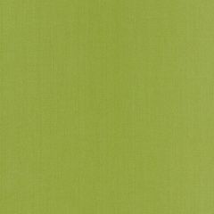 Robert Allen Swagger Spring Grass Linen Solids Collection Multipurpose Fabric