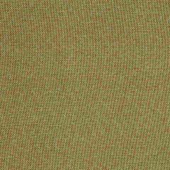 Robert Allen Contract Callisburg-Fern 224657 Decor Drapery Fabric