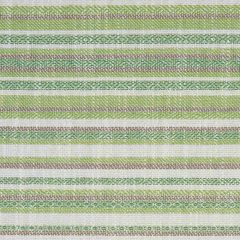 F Schumacher Dylan  Green 81050 Full Bloom Collection Upholstery Fabric