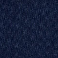 F Schumacher Scottie  Indigo 81062 Indoor/Outdoor Collection Upholstery Fabric