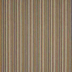 F Schumacher Fino Stripe  Multi 81072 Indoor/Outdoor Collection Upholstery Fabric