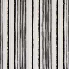 F Schumacher Billy  Black 81110 Indoor/Outdoor Collection Upholstery Fabric
