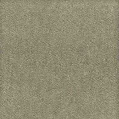 Stout Moore Nickel 34 Timeless Velvets Collection Indoor Upholstery Fabric