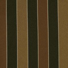 Robert Allen Contract Wide Ribbons Terrain 223226 Indoor Upholstery Fabric