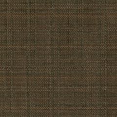 Robert Allen Contract Modern Canvas-Coffee 214790 Decor Upholstery Fabric