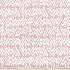 Premier Prints Fearless Blush / Slub Canvas Friends and Freedom Collection Multipurpose Fabric