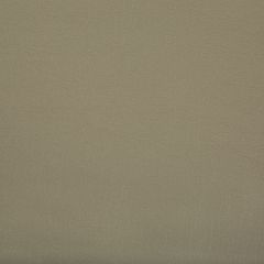 Kravet Contract Optima Stucco 616 Indoor Upholstery Fabric