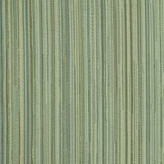 Robert Allen Fiero Stripe Aloe 211080 Indoor Upholstery Fabric