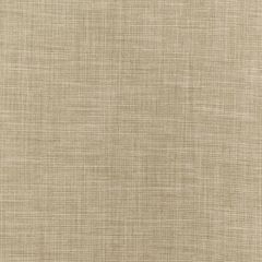 Robert Allen Desert Hill Taupe 236037 Natural Textures Collection Multipurpose Fabric