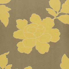 Robert Allen New Peony Canary Taupe 214609 Dwell Collection Drapery Fabric