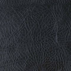 Robert Allen Katrona Black 136896 Indoor Upholstery Fabric