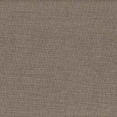 Stout Cardinal Pewter 3 on the Go Collection Indoor Upholstery Fabric