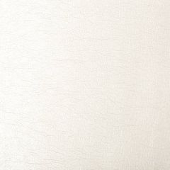 Kravet Contract Maximo Opal 111 Indoor Upholstery Fabric