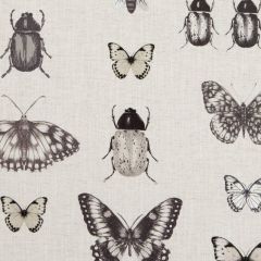 Clarke and Clarke Papilio Charcoal / Linen F1093-02 Botanica Fabric Collection Multipurpose Fabric