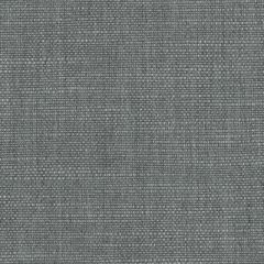 Perennials Silky Platinum 685-207 Morris and Co Collection Upholstery Fabric