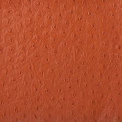 Kravet Design Orange Senna 124 Indoor Upholstery Fabric