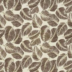 F Schumacher Costa Rica Chocolate 176192 Good Vibrations Collection Indoor Upholstery Fabric