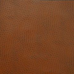 Kravet Design Brown Delaney 6 Indoor Upholstery Fabric