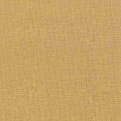 Stout Gorgeous Straw 14 Softer Side Faux Silk Collection Drapery Fabric