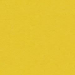 Spirit 322 Sun Yellow Contract Marine Automotive and Healthcare Upholstery Fabric