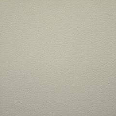 Aldeco Storm Fr Light Gray A9 0004STOR Bloom Collection Contract Upholstery Fabric