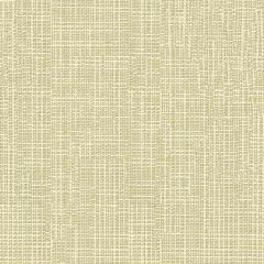 Kravet Contract Delancy Oat 34112-116 Crypton Incase Collection Indoor Upholstery Fabric