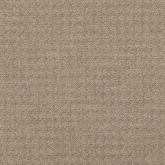 Robert Allen Hidden Gem Carob 258753 Nomadic Color Collection Indoor Upholstery Fabric
