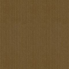 Kravet Contract Strie Velvet 33353-666 Guaranteed in Stock Indoor Upholstery Fabric