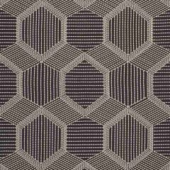 F Schumacher Tortuga Embroidery Black 73202 Au Naturel Collection Indoor Upholstery Fabric