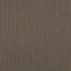 Robert Allen Zelda Stripe Onyx 259044 Nomadic Color Collection Indoor Upholstery Fabric
