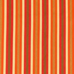 Robert Allen Contract Finish Line-Carrot 233012 Decor Upholstery Fabric