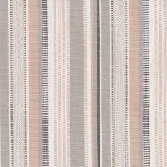 Perennials Left Bank Stripe In The Pink 837-732 Bannenberg and Rowell Collection Upholstery Fabric