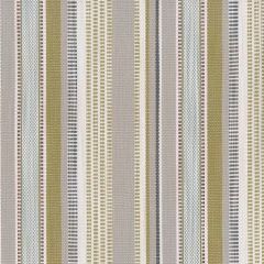 Perennials Left Bank Stripe Provence 837-739 Bannenberg and Rowell Collection Upholstery Fabric