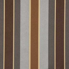 Robert Allen Contract Summation Mink 230244 Modern Couture Collection by DwellStudio Indoor Upholstery Fabric