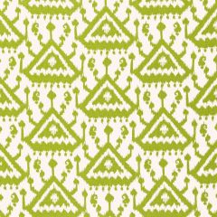 F Schumacher Vientiane Ikat Print Palm 175023 Print Happy Collection Indoor Upholstery Fabric