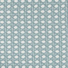 Robert Allen Fresh Cane Bk Pool 244097 Indoor Upholstery Fabric