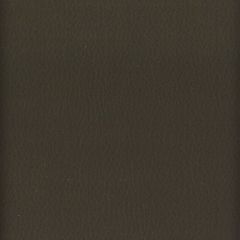 Stout Lodge Slate 8 Leather Looks III Performance Collection Indoor Upholstery Fabric