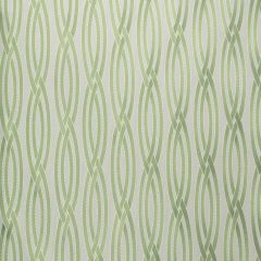 Robert Allen Twisty Lanes-Chive 244456 Decor Multi-Purpose Fabric