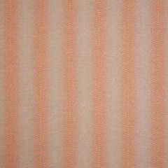 Sunbrella Perception Spark 44339-0002 The Pure Collection Upholstery Fabric